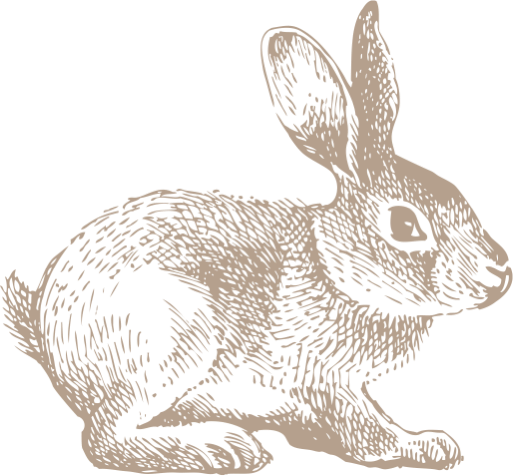CONEJO