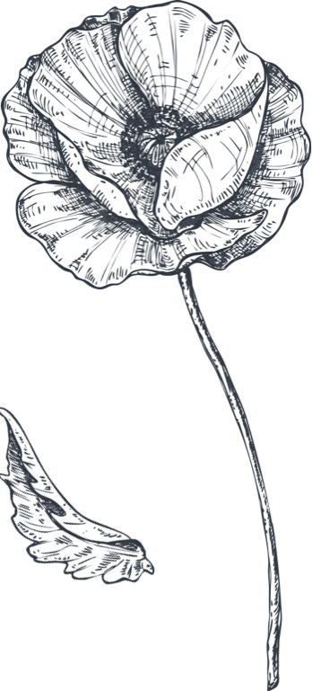 FLOR1_compo
