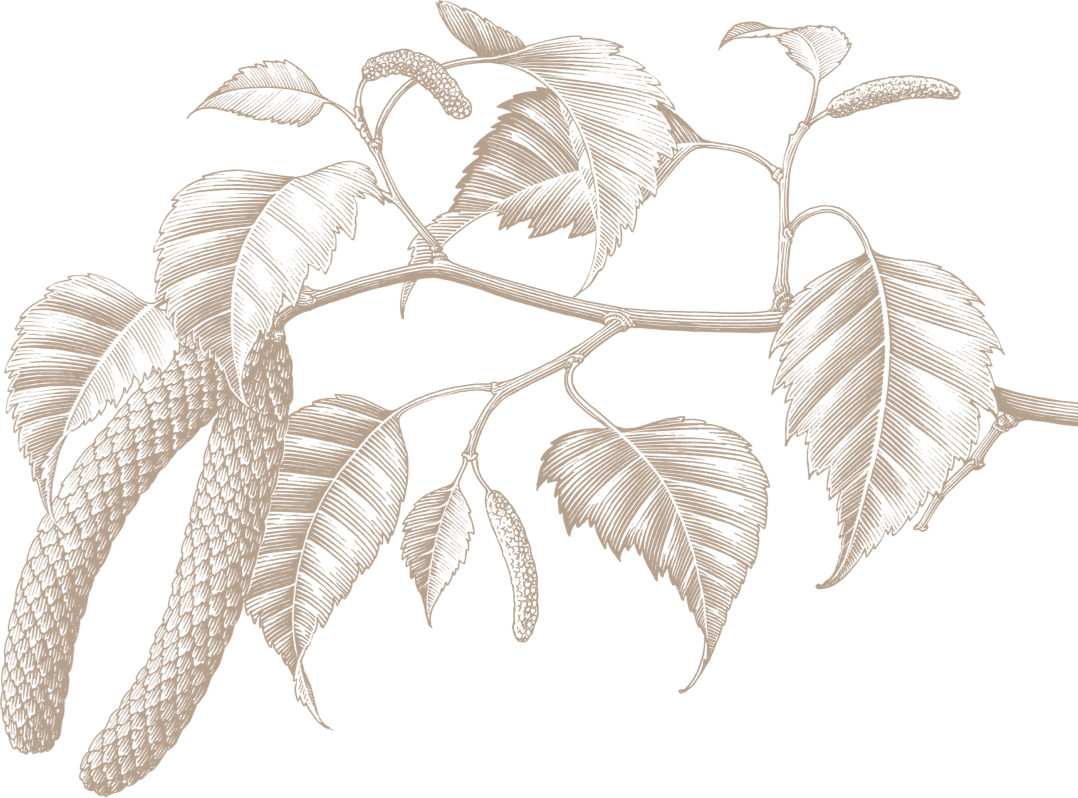 RAMAS