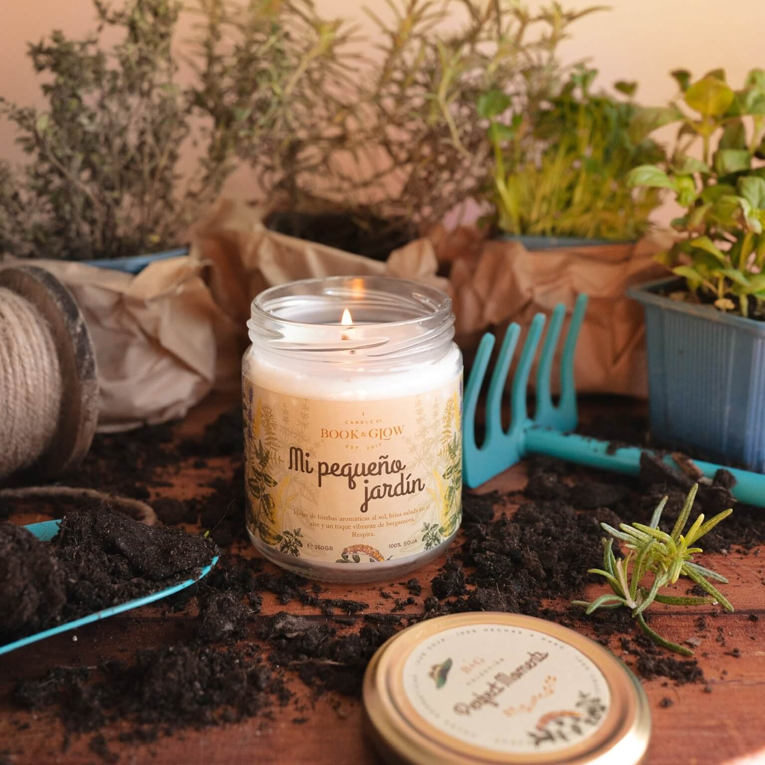 Mi pequeño jardín - Imagen 5