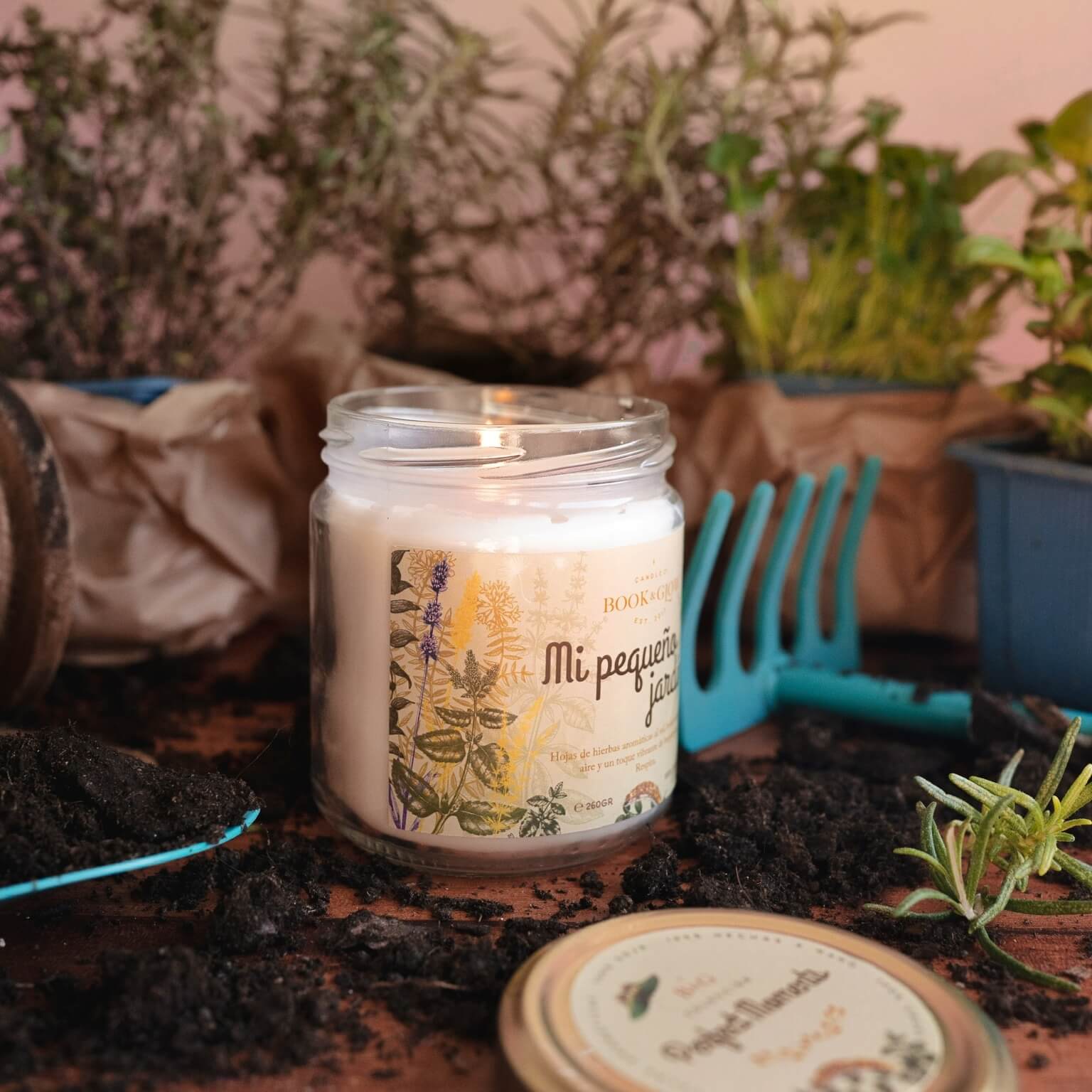 Mi pequeño jardín - Imagen 2